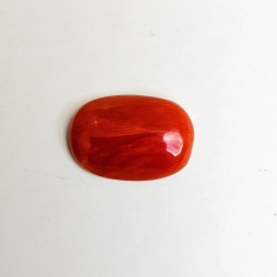 1.38/CT Natural Japanees Coral